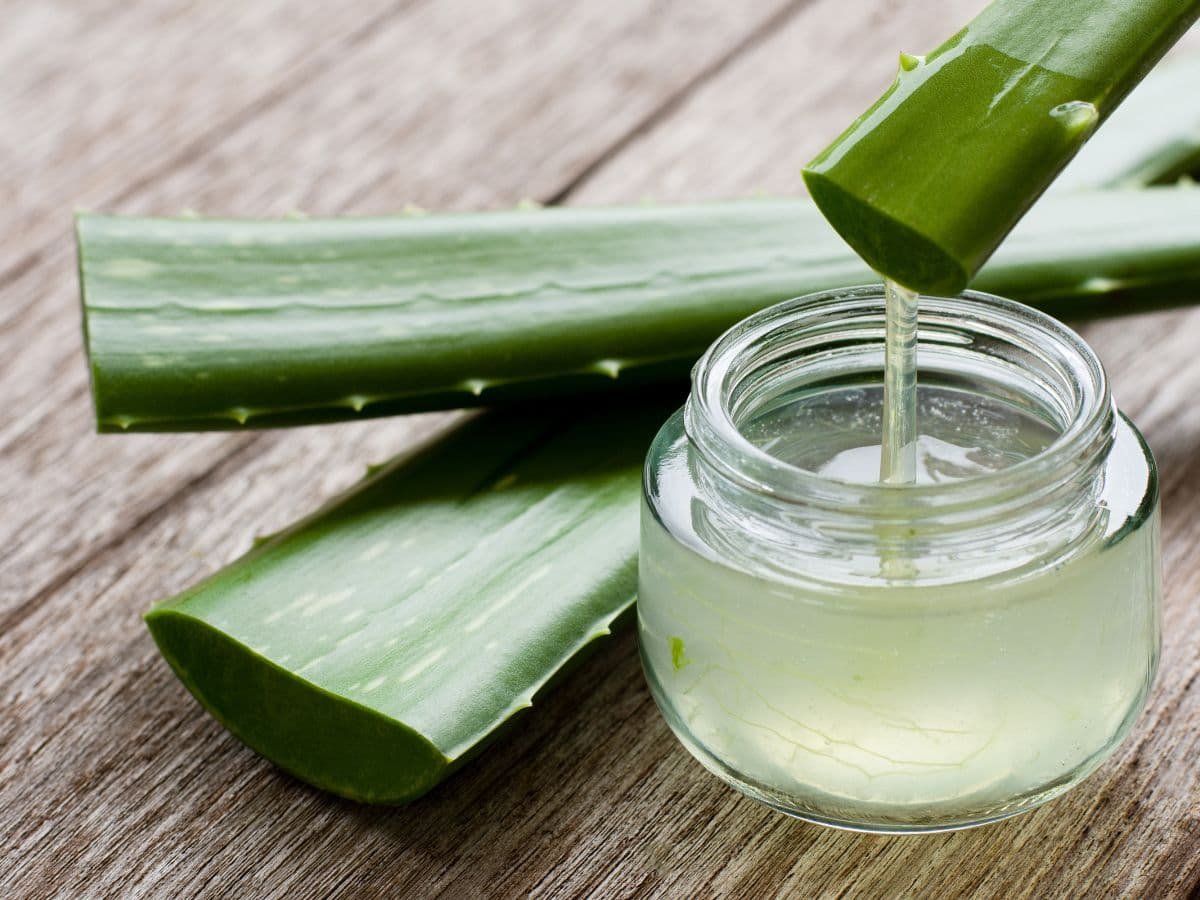 Aloe vera body scrub in Trivandrum